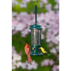 Brome Bird Care SquirrelBuster
