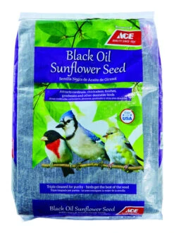 Ace Songbird Black Oil Sunflower Seed Wild Bird Food 40 Lb